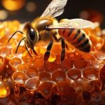 bees-g6e51b450a_640